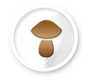 Materac gryczano-kokosowy Matsen 140x70x9 dwustronny naturalny medyczny